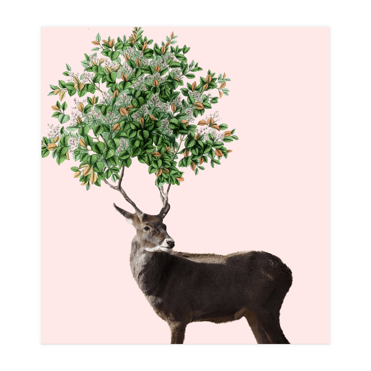 One With Nature V2 (Print Only)