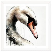 Watercolor Swan Portrait