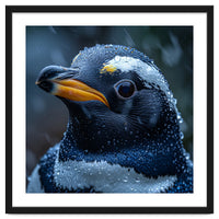Macro view of a Penguin with Water Droplets