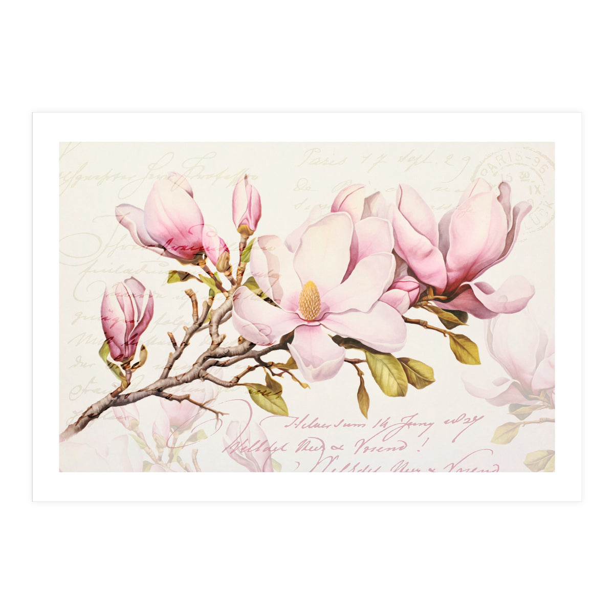 Magnolia Spring Romance Pink (Print Only)