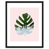 Monstera thumbnail