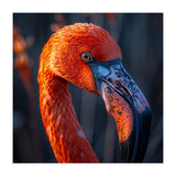 Close Up Flamingo Head Vibrant Orange Plumage (Print Only) thumbnail