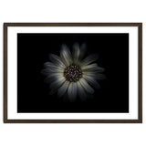 Backyard Flowers No 27 Color Version thumbnail