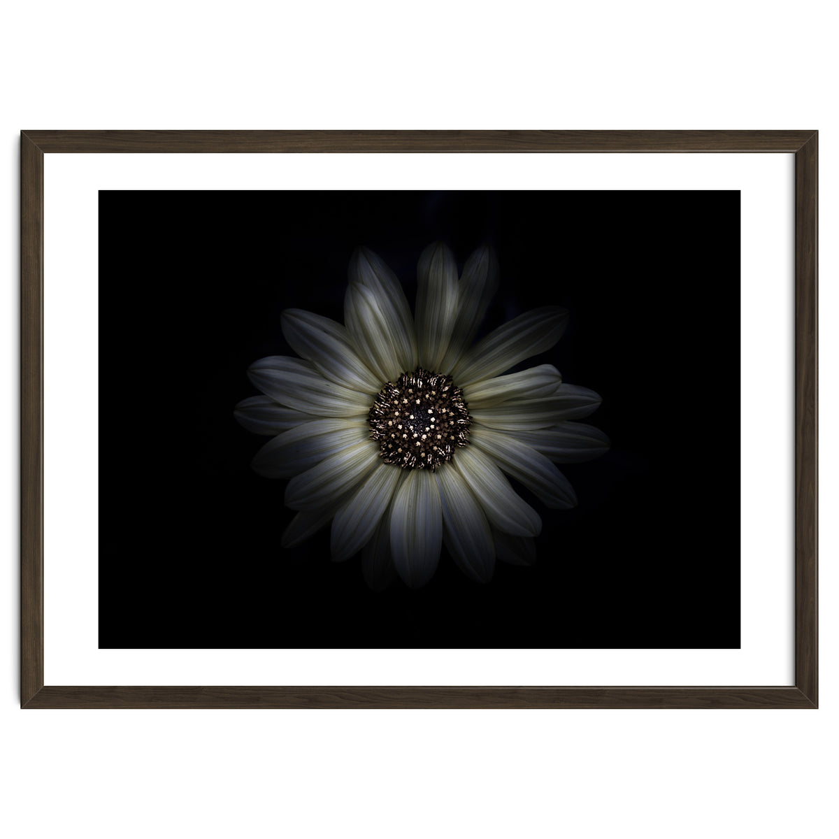 Backyard Flowers No 27 Color Version