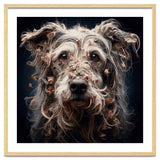 Old Dog 09 thumbnail