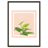 Botanical Art thumbnail