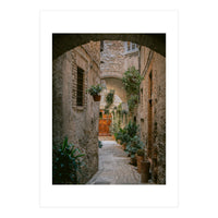 Enchanted Garden Passage (Print Only)