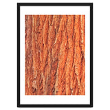 Tree Bark thumbnail