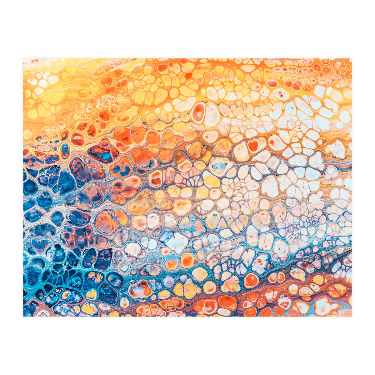 The Bright Side (Print Only)