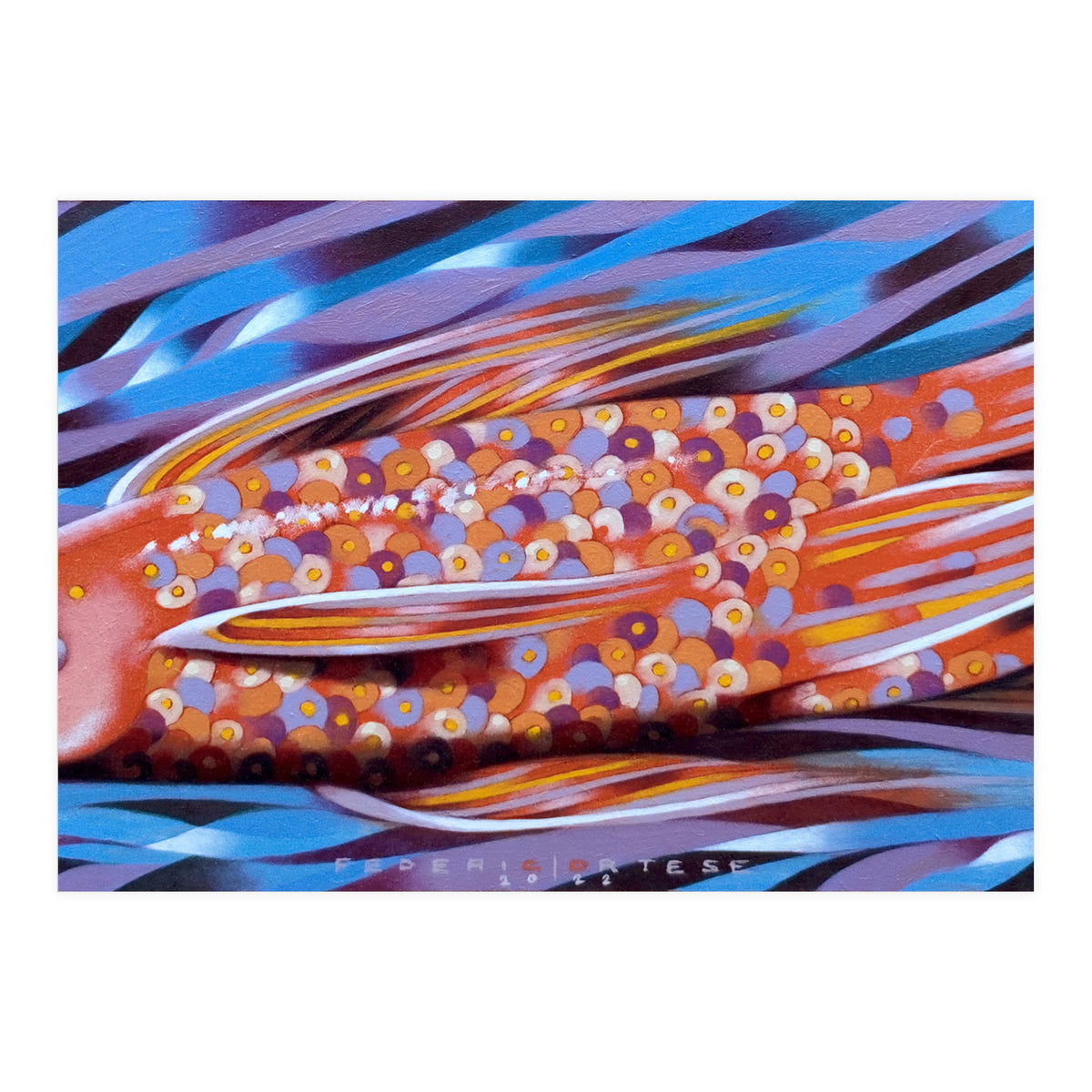 Little fish (Print Only)