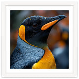 King Penguin With Water Droplets In Rain thumbnail