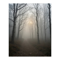 Ethereal Morning Light Breaking Through Dense Forest Fog (Print Only)