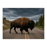Bison on the Road , Yellowstone Wildlife Photography (Print Only) thumbnail