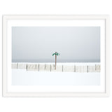 Fake palm tree in the winter snow beach thumbnail