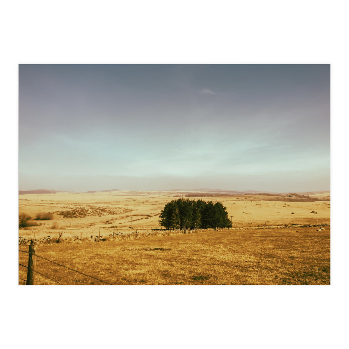 Dartmoor 2018 (Print Only)