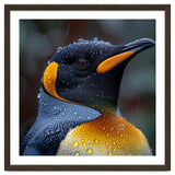 King Penguin Standing In Rain With Water Drops Nature Photography thumbnail