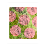 The Purity Of Desire (Print Only) thumbnail