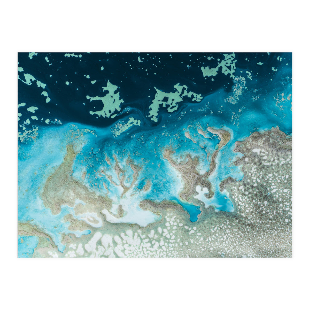 The Oasis (Print Only)