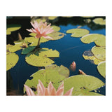 Lotus Pond | Landscape (Print Only) thumbnail