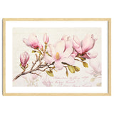 Magnolia Spring Romance Pink thumbnail