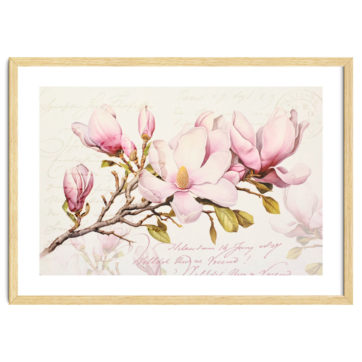 Magnolia Spring Romance Pink
