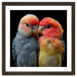 Two Lovebirds Nuzzle Together thumbnail
