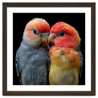 Two Lovebirds Nuzzle Together