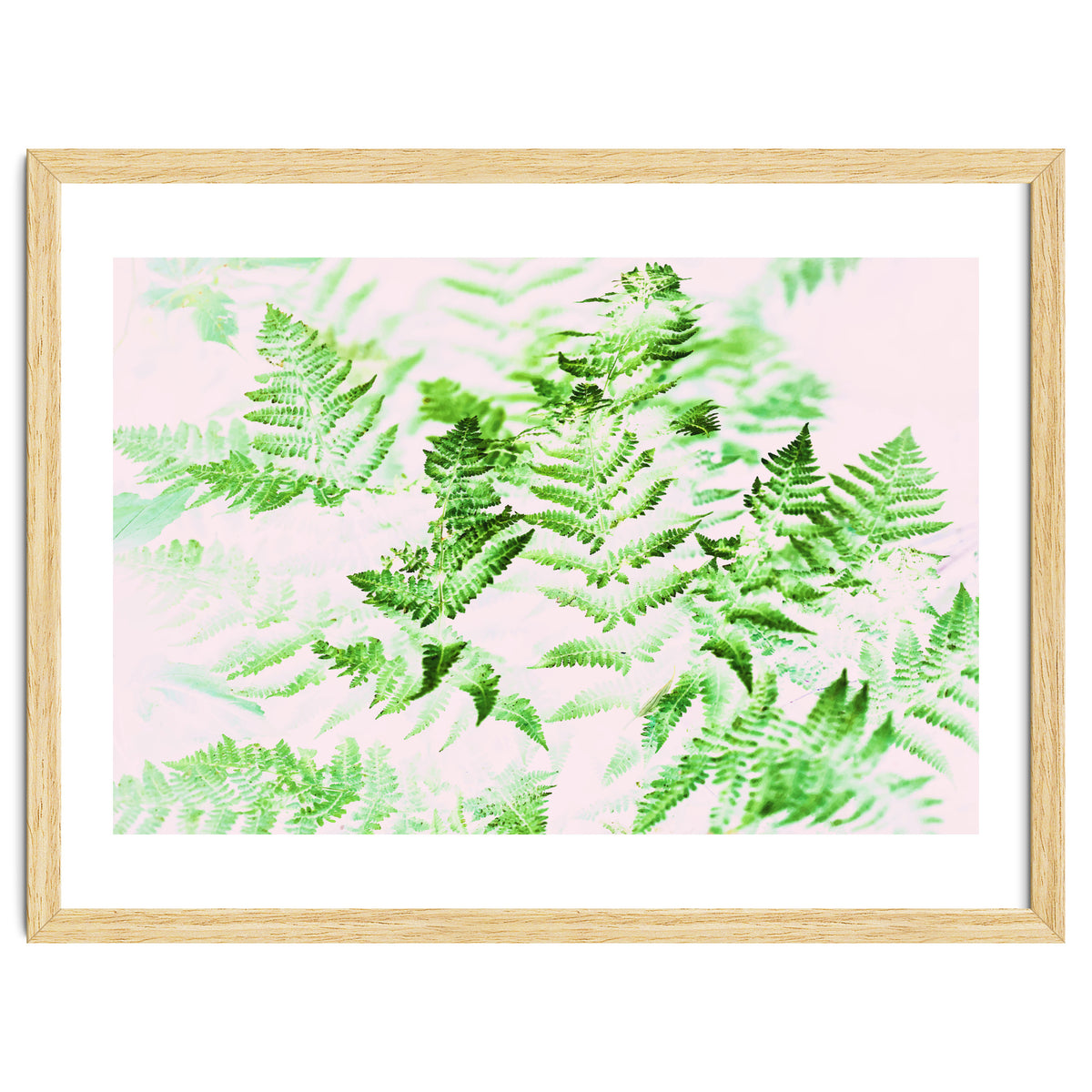 Fern Forest #society6 #decor #buyart