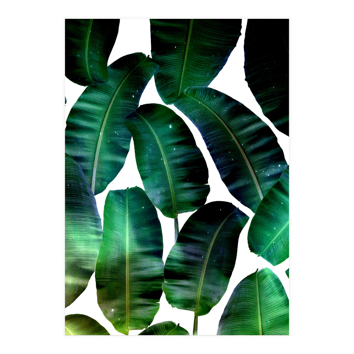 Cosmic Banana Leaves (Print Only)