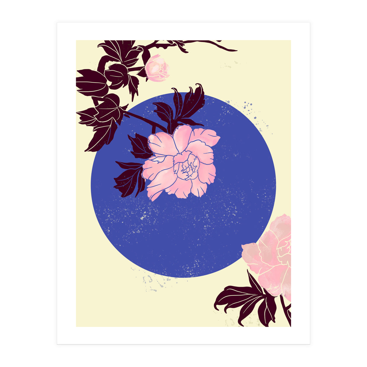 Peony (Print Only)