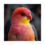 Vibrant Tropical Bird  (Print Only) thumbnail