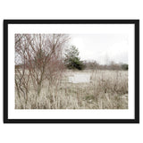 Abandoned Sofa in the middle of nowhere thumbnail