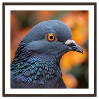 Close Up Of A Pigeon's Head And Neck