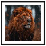 Majestic Lion King Of The Jungle Close Up Portrait thumbnail