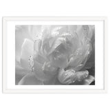 Ethereal Monochromatic Peony Petal Macro thumbnail