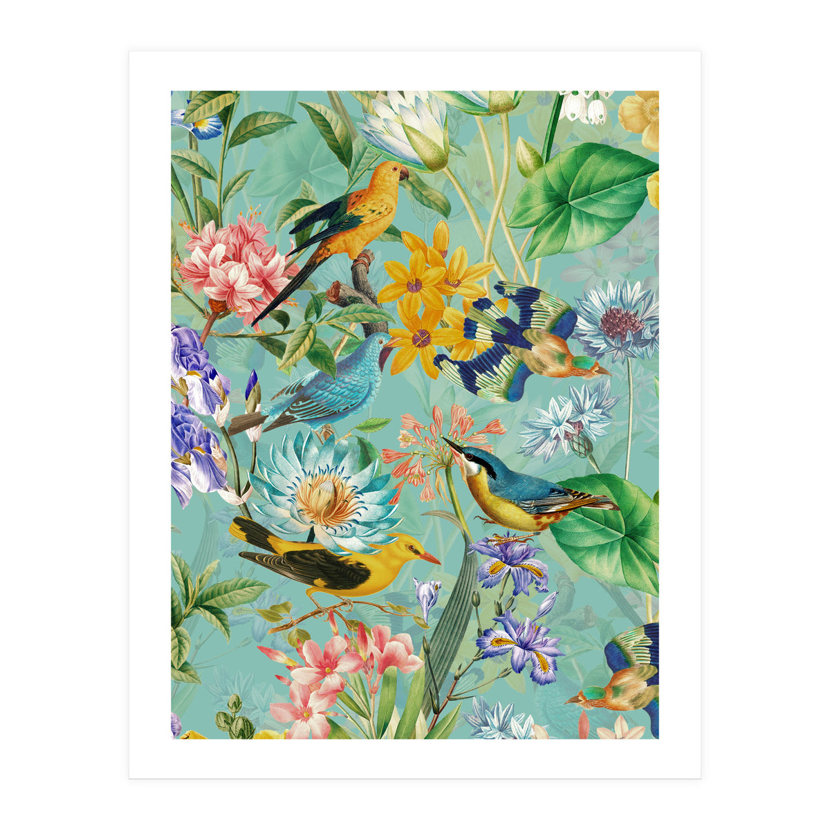Birds In Tropical Jungle  (Print Only)