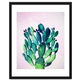 Cactus Three Ways thumbnail