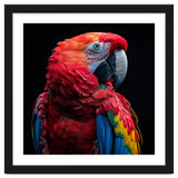 Scarlet Macaw Parrot Close Up Portrait thumbnail