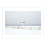 Fake palm tree in the winter snow beach (Print Only) thumbnail