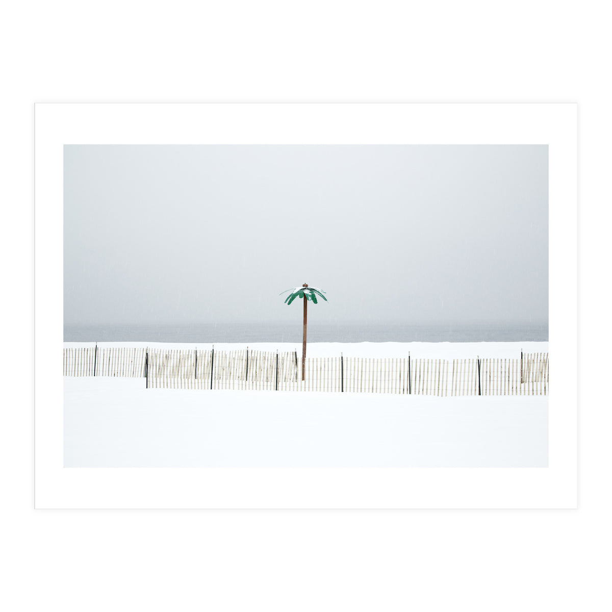 Fake palm tree in the winter snow beach (Print Only)