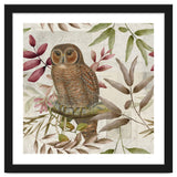 Autumn Owl thumbnail