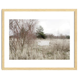 Abandoned Sofa in the middle of nowhere thumbnail