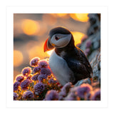 Puffin Bird Amidst Purple Flowers Golden Hour (Print Only) thumbnail