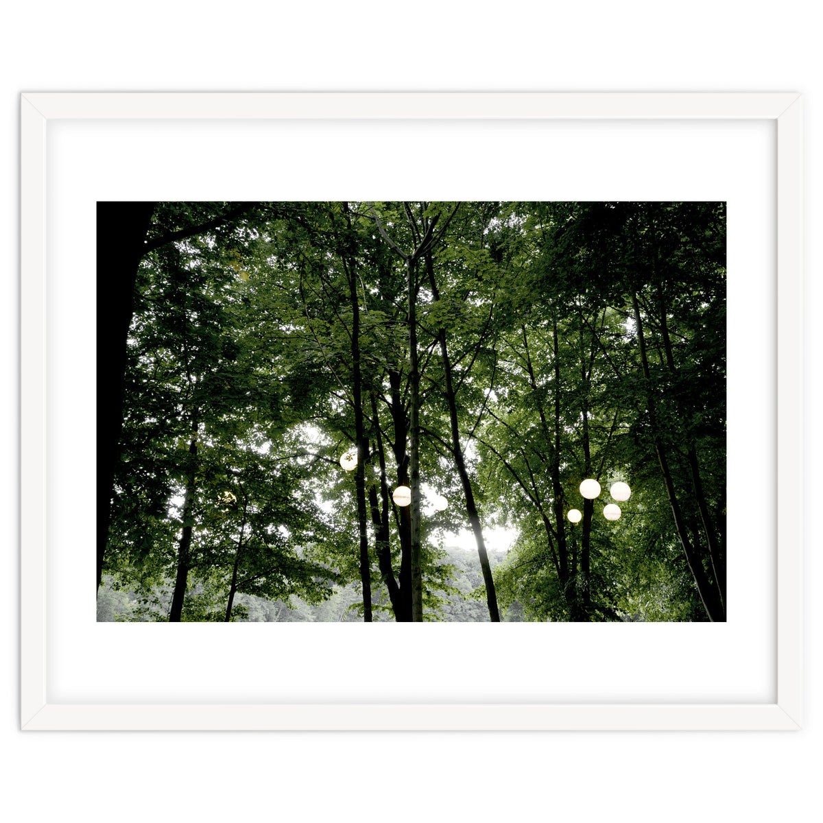 Light bulb among the trees in the summer forest