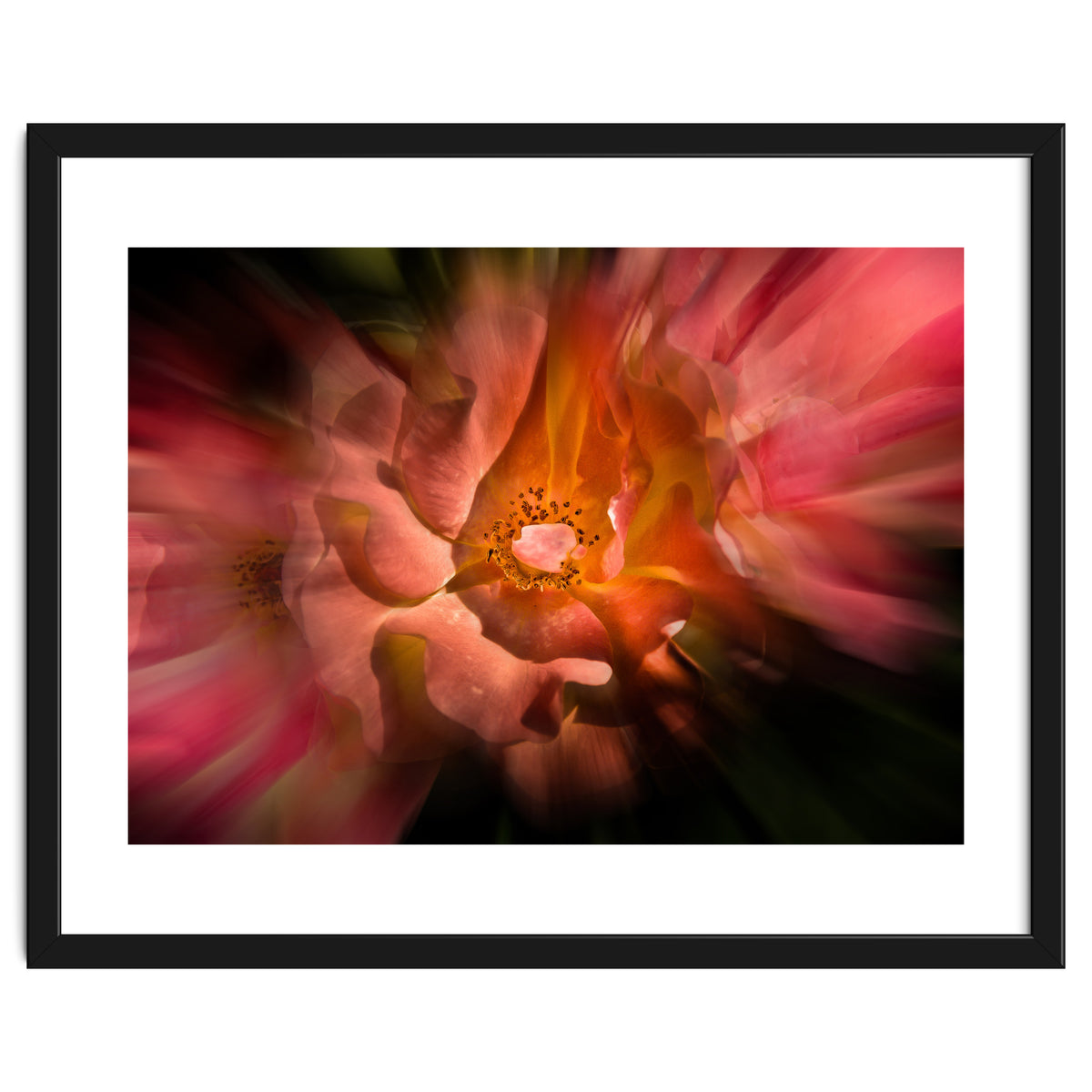 Backyard Flowers No 40 Color Flow Version