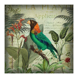 Tropical Bird Nostalgia  (Print Only) thumbnail