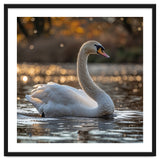 Graceful Swan Gliding On Reflective Water Surface thumbnail