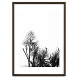 Miminalist Palm thumbnail