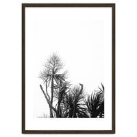 Miminalist Palm