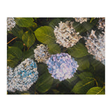 Hydrangeas | Landscape (Print Only) thumbnail